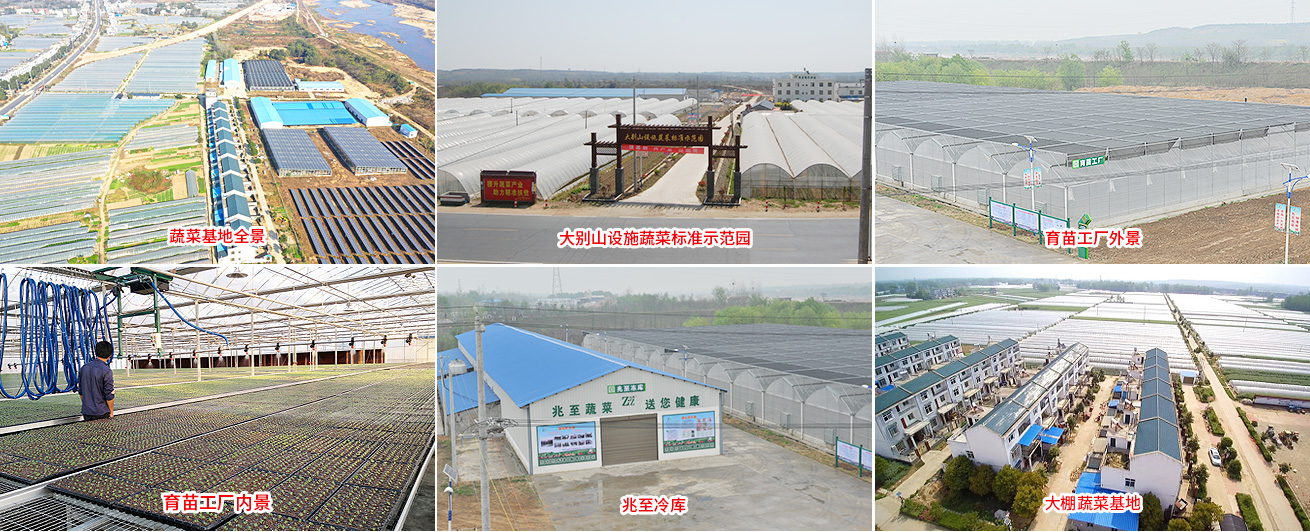 廠(chǎng)家直供